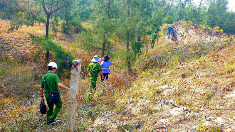   Để xảy ra phá rừng, khai thác cát trái phép ba cán bộ lãnh án tù    -0