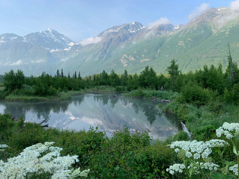Alaska: Vùng đất lạnh lẽo nhưng kỳ thú bậc nhất nước Mỹ -0
