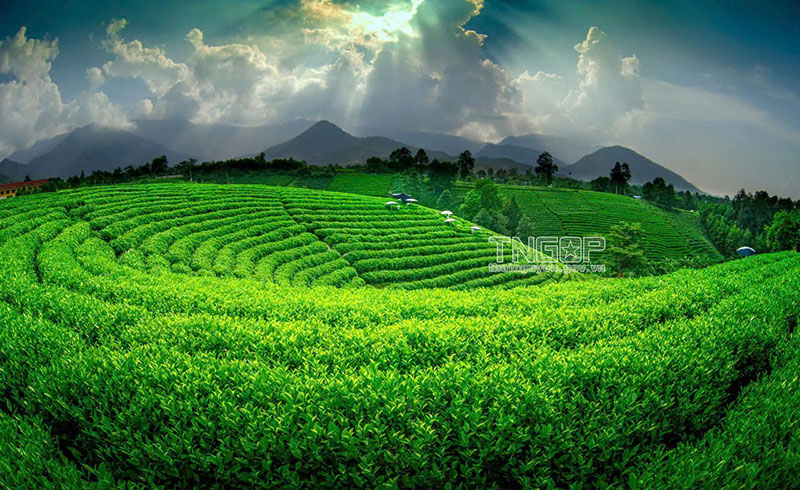 Khi hai mặt nước soi chung bầu trời -0