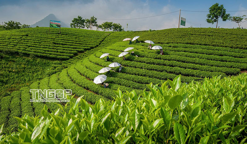 Khi hai mặt nước soi chung bầu trời -0