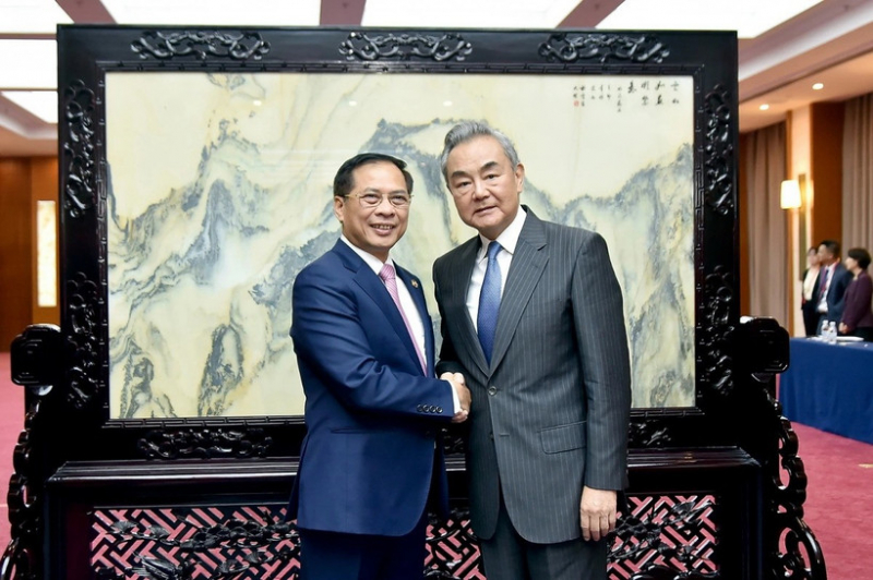 Phó Thủ tướng Bùi Thanh Sơn hội đàm với Bộ trưởng Ngoại giao Trung Quốc -0