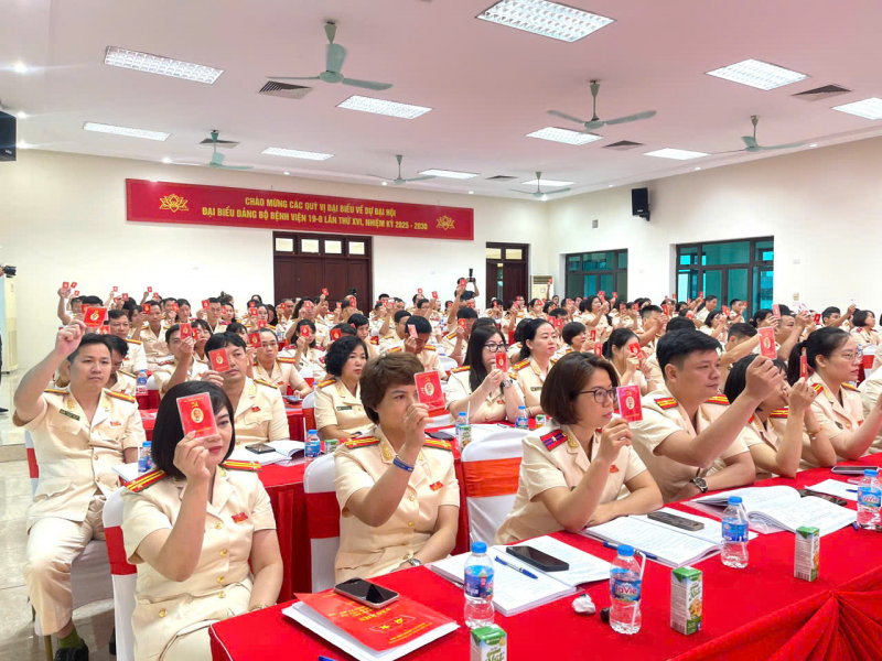 Đại hội Đại hội đại biểu Đảng bộ Bệnh viện 19-8 -0
