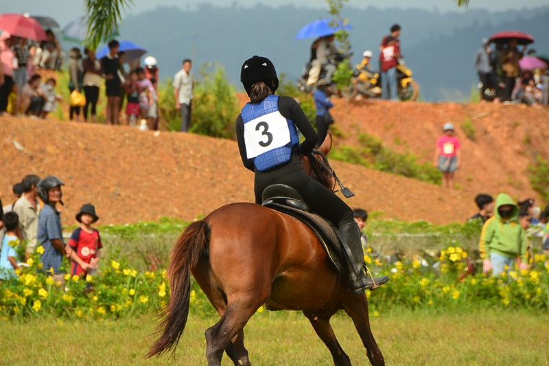 20 chú ngựa tung vó tranh tài tại giải vượt địa hình năm 2025 -0