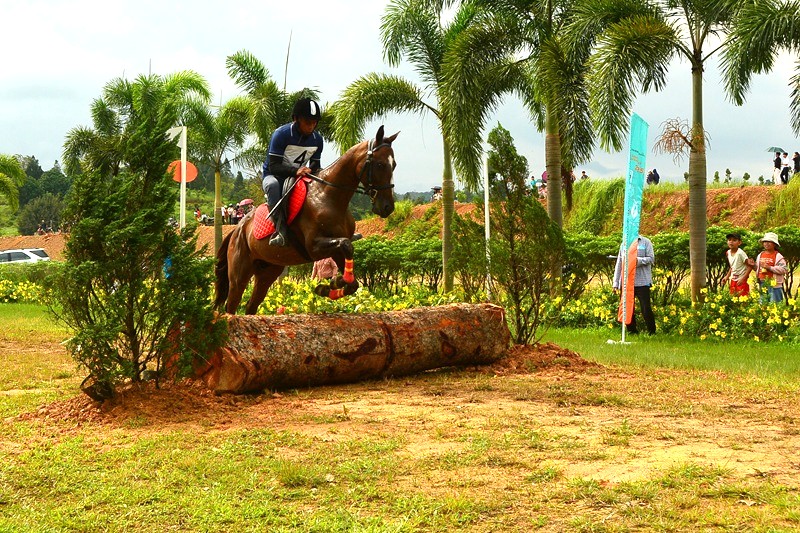 20 chú ngựa tung vó tranh tài tại giải vượt địa hình năm 2025 -1