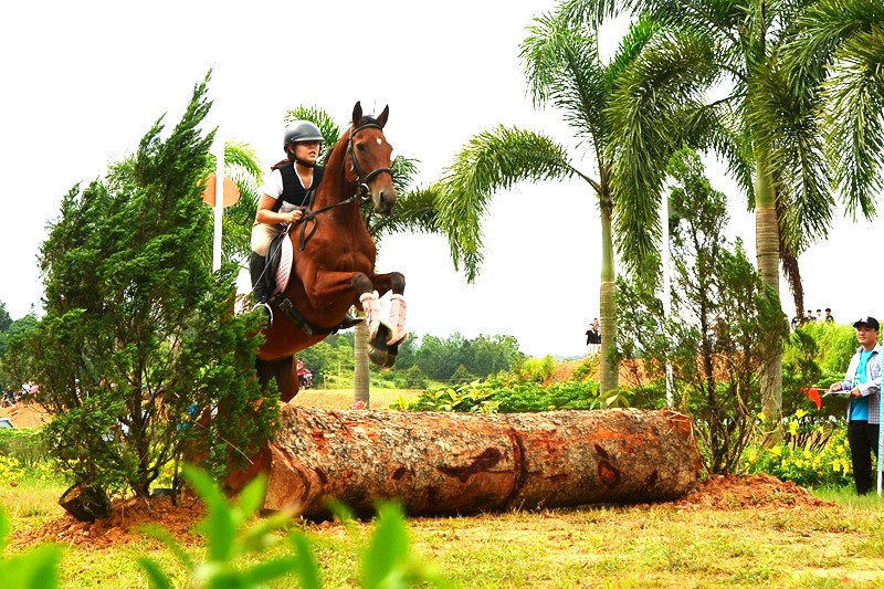 20 chú ngựa tung vó tranh tài tại giải vượt địa hình năm 2025 -2