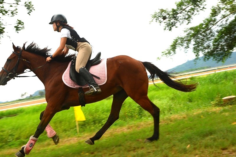 20 chú ngựa tung vó tranh tài tại giải vượt địa hình năm 2025 -3