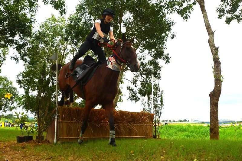 20 chú ngựa tung vó tranh tài tại giải vượt địa hình năm 2025 -6