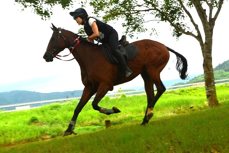 20 chú ngựa tung vó tranh tài tại giải vượt địa hình năm 2025 -7