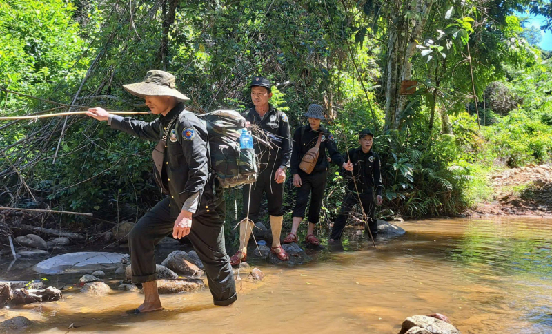 Niềm vui mang tên… voi -0