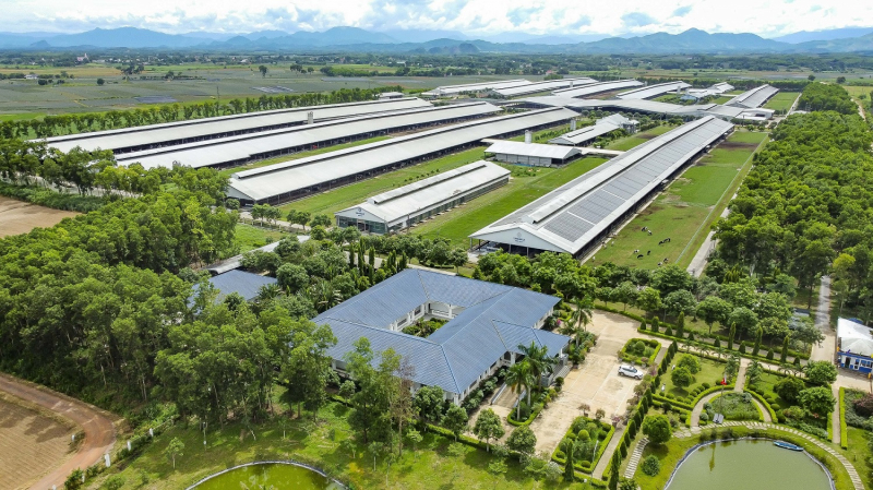 Vinamilk được xếp hạng sức mạnh thương hiệu xuất sắc, vượt trội toàn cầu -0