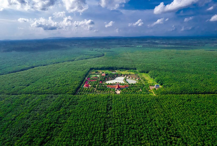 Nhìn lại dấu ấn 80 năm xây dựng đất nước - đóng góp của ngành cao su Việt Nam -0