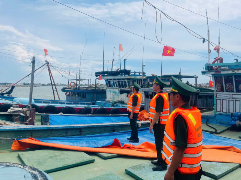 Ville de Hué : récoltez d'urgence le riz, appelez les bateaux à débarquer pour éviter la tempête n° 5-0
