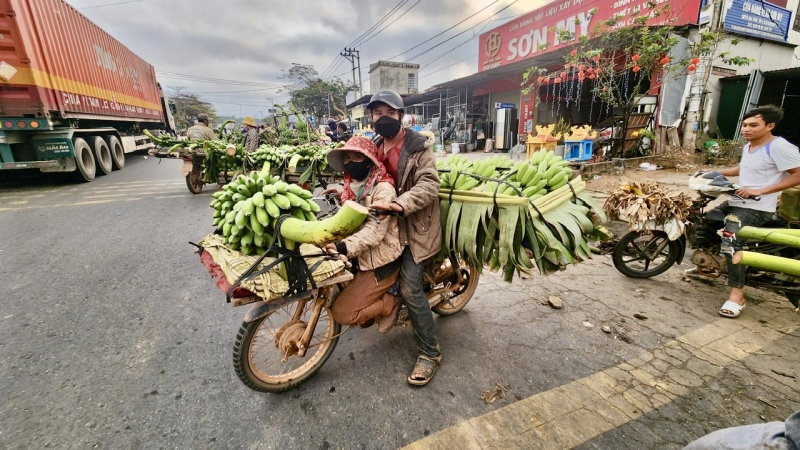 Hương chuối mật vùng Lìa -0
