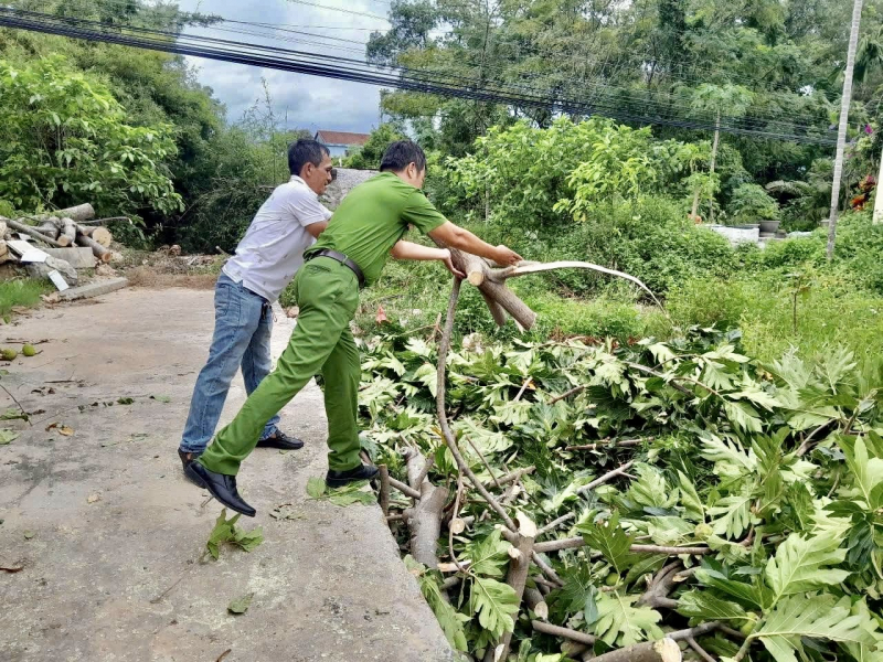 Quảng Trị khẩn trương khắc phục hậu quả bão số 5 -0
