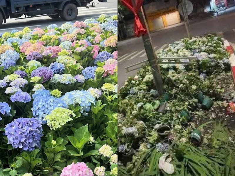 Xử lý nghiêm những hành vi gây mất trật tự công cộng trong 2 buổi Tổng hợp luyện A80 -0