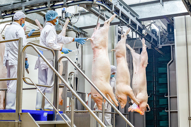 Truy xuất nguồn gốc – Chìa khóa chọn thịt heo an toàn trong tiêu dùng hiện đại -1