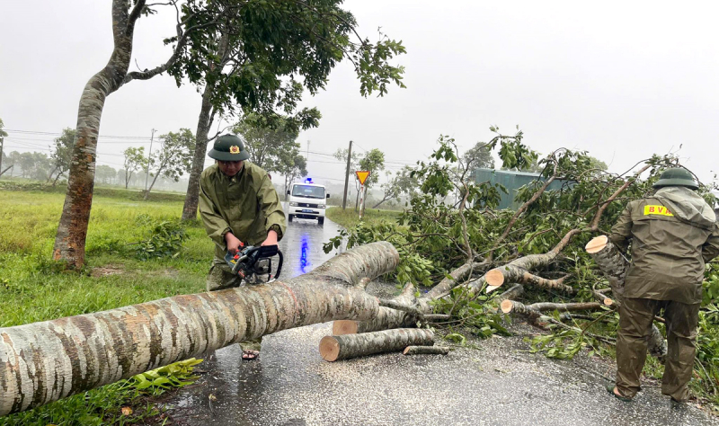 Thiệt hại ban đầu sau khi bão số 5 đổ bộ vào đất liền -0