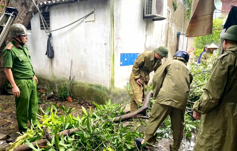 Thiệt hại ban đầu sau khi bão số 5 đổ bộ vào đất liền -0