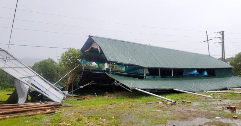 Thiệt hại ban đầu sau khi bão số 5 đổ bộ vào đất liền -0