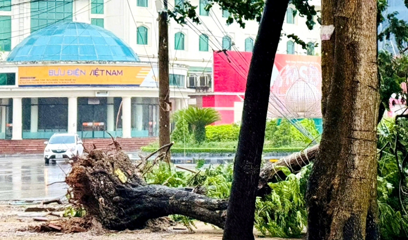 Thiệt hại ban đầu sau khi bão số 5 đổ bộ vào đất liền -0