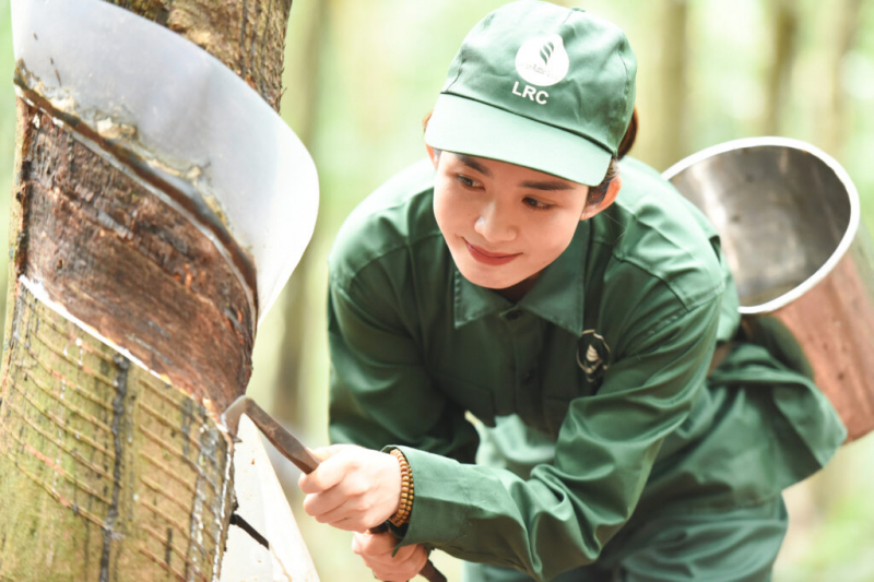 Ngành Cao su Việt Nam: Truyền thống bất khuất và khát vọng cống hiến -0