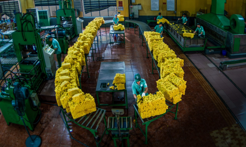 Ngành Cao su Việt Nam: Truyền thống bất khuất và khát vọng cống hiến -0