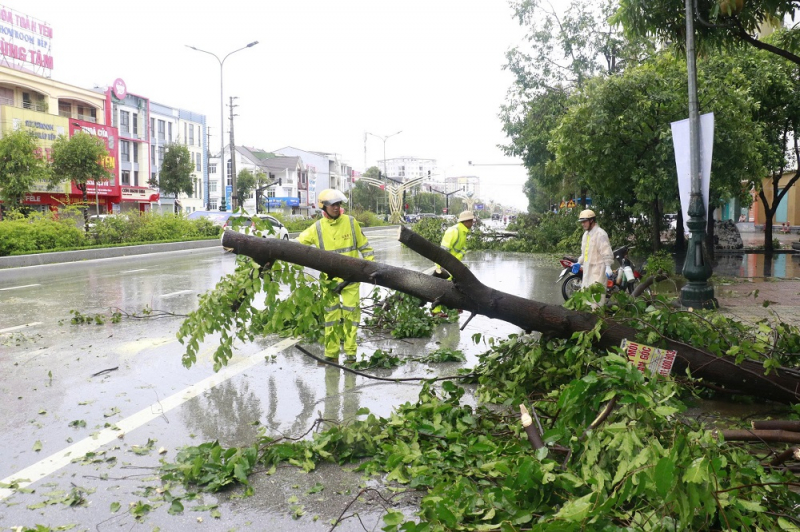 CSGT Công an Nghệ An dồn tổng lực xử lý cây xanh gãy đổ -0