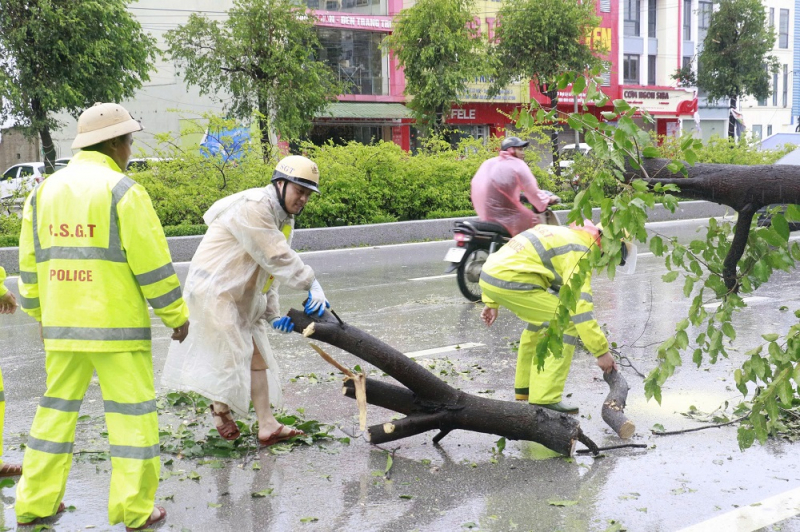 CSGT Công an Nghệ An dồn tổng lực xử lý cây xanh gãy đổ -0