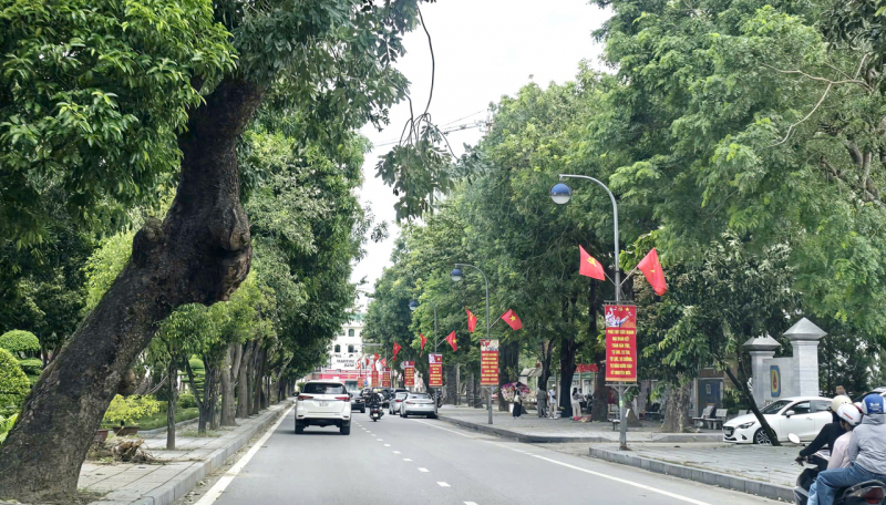 Nghệ An: Vì sao hàng nghìn cây xanh đổ, gãy chưa được thu dọn sao bão? -0