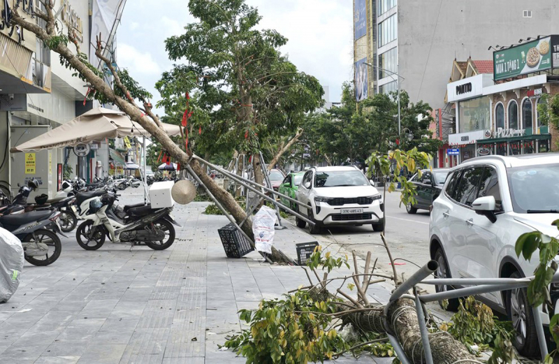 Nghệ An: Vì sao hàng nghìn cây xanh đổ, gãy chưa được thu dọn sao bão? -0