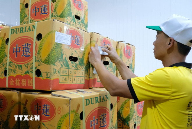 Chuyến công tác Trung Quốc của Thủ tướng Phạm Minh Chính được kỳ vọng rất lớn -0