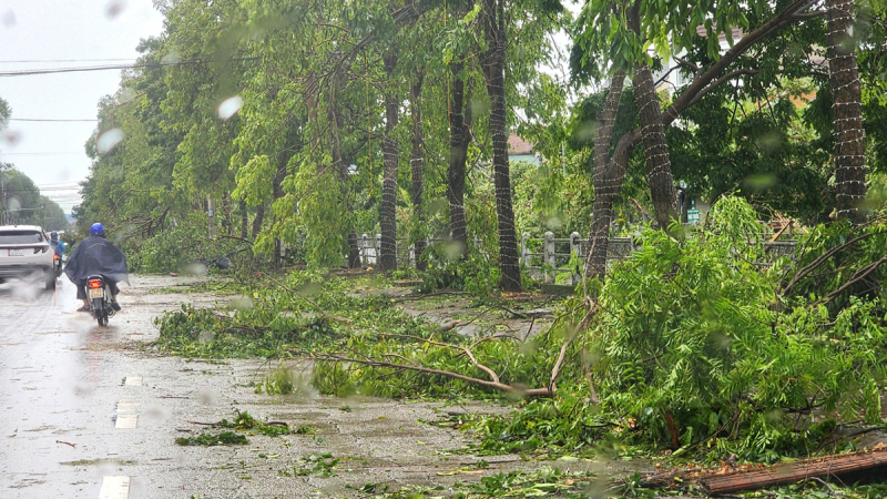 Nghệ An: Vì sao hàng nghìn cây xanh đổ, gãy chưa được thu dọn sao bão? -0