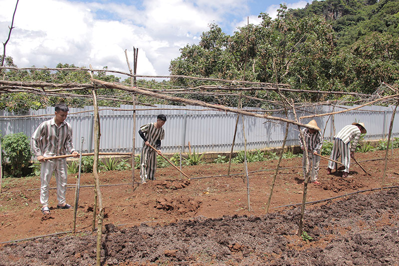 Ngóng chờ ngày về… viết tiếp những ước mơ -0