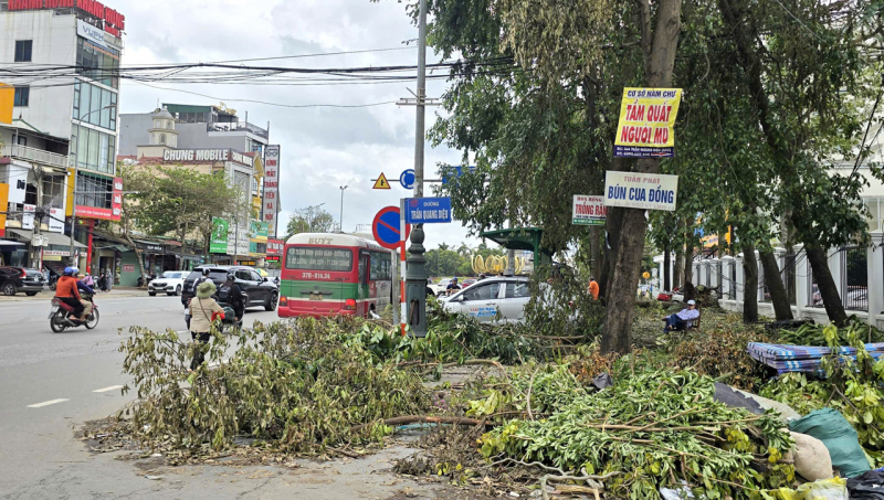 Nghệ An: Vì sao hàng nghìn cây xanh đổ, gãy chưa được thu dọn sao bão? -0