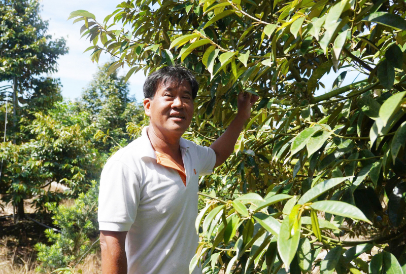 Agribank tiếp sức, thầy giáo bén duyên với nông nghiệp công nghệ cao -0