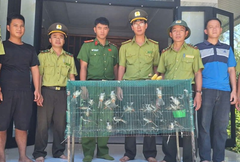 Huế xử lý nghiêm các trường hợp mua bán chim phóng sinh dịp lễ Vu Lan -0