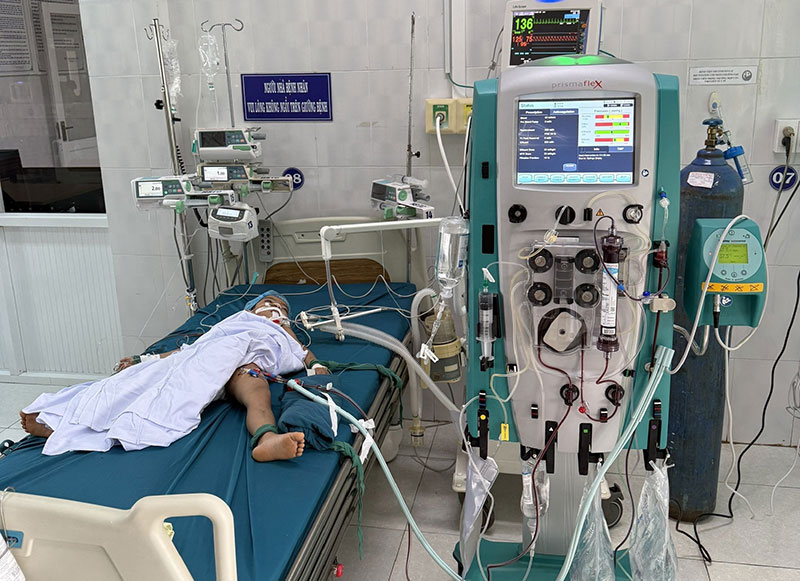 Liên tiếp nhiều trường hợp bị ong đốt gây tử vong -0