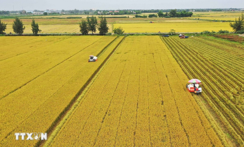 Nghị quyết Phiên họp Chính phủ thường kỳ tháng 8 năm 2025 -0