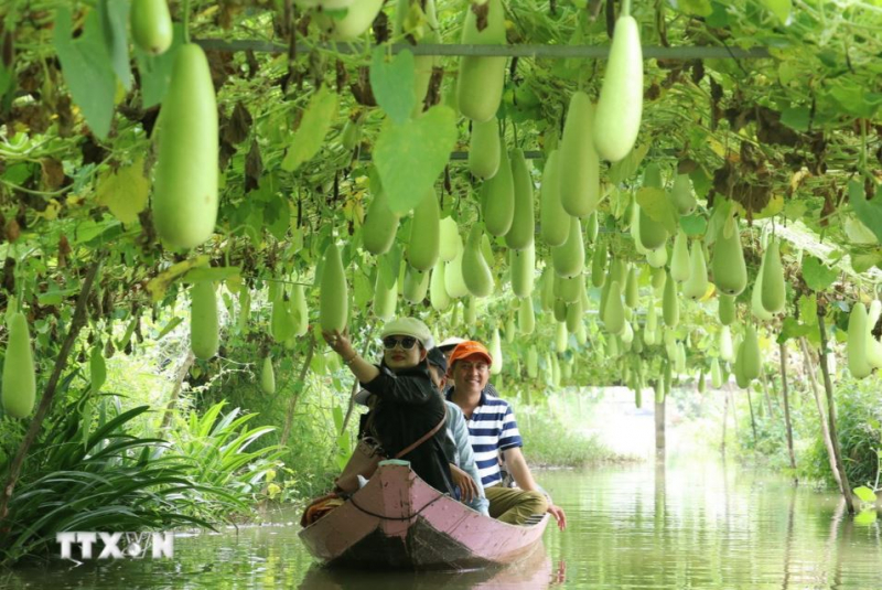 Nghị quyết Phiên họp Chính phủ thường kỳ tháng 8 năm 2025 -0