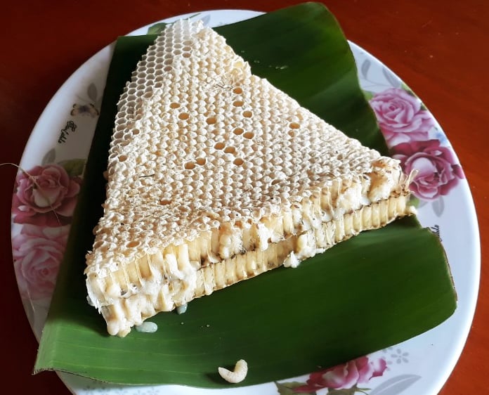 Đăng bán nhộng ong để chiếm đoạt tiền của khách hàng -0