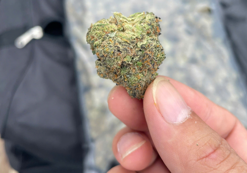 Kết luận giám định 81kg vật thể trôi nổi trên biển -0