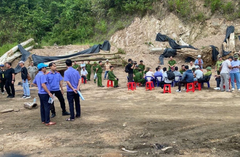 Khởi tố 5 đối tượng liên quan vụ án “bứng” bằng lăng khủng ở Vĩnh Thạnh -0