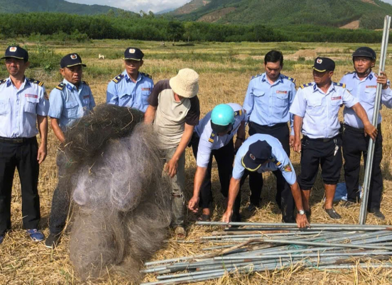 Nghề nuôi chim yến ở Nam Trung bộ trước nỗi lo bẫy lưới “tàng hình” -0