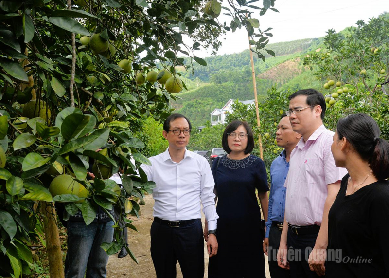 Ðể người dân thụ hưởng tốt nhất tín dụng chính sách -0