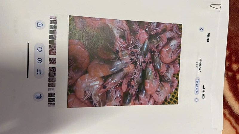 Làm rõ thông tin thực phẩm bẩn tuồn vào trường học trong thời gian dài -1