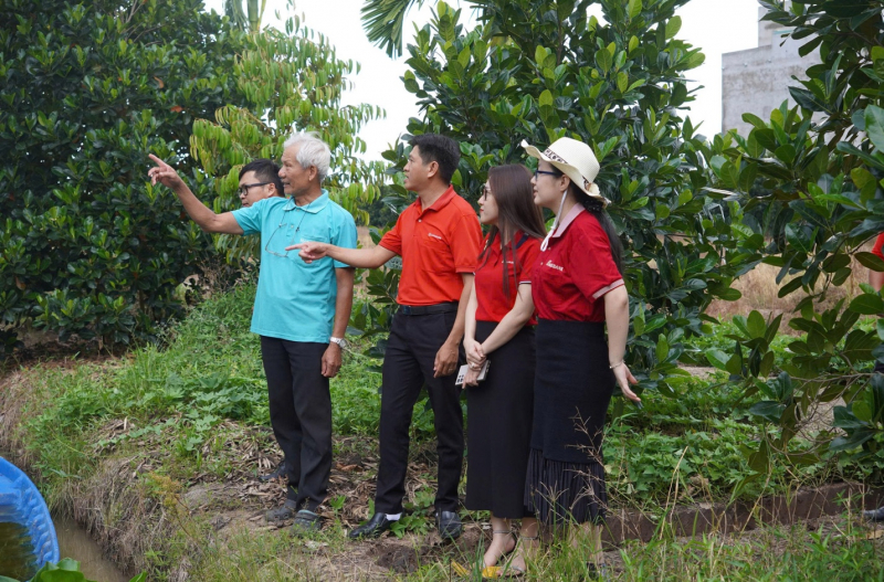 Agribank chi nhánh Vĩnh Long hỗ trợ nông dân chuyển đổi, phát triển nông nghiệp bền vững -0