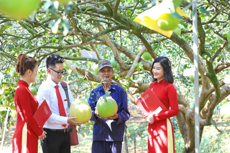 Agribank thúc đẩy phát triển bền vững với chương trình ưu đãi “xanh” -0