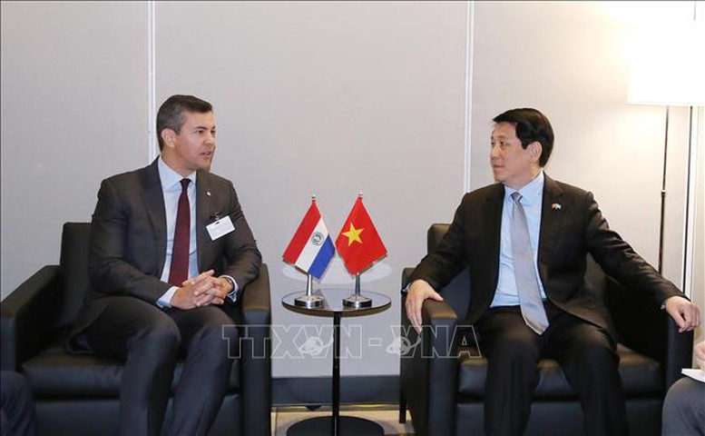 Chủ tịch nước gặp mặt các nguyên thủ, nhà lãnh đạo nhân dự Tuần lễ LHQ -0