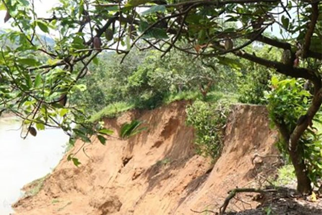 Sống bất an bên sông Đồng Nai -0