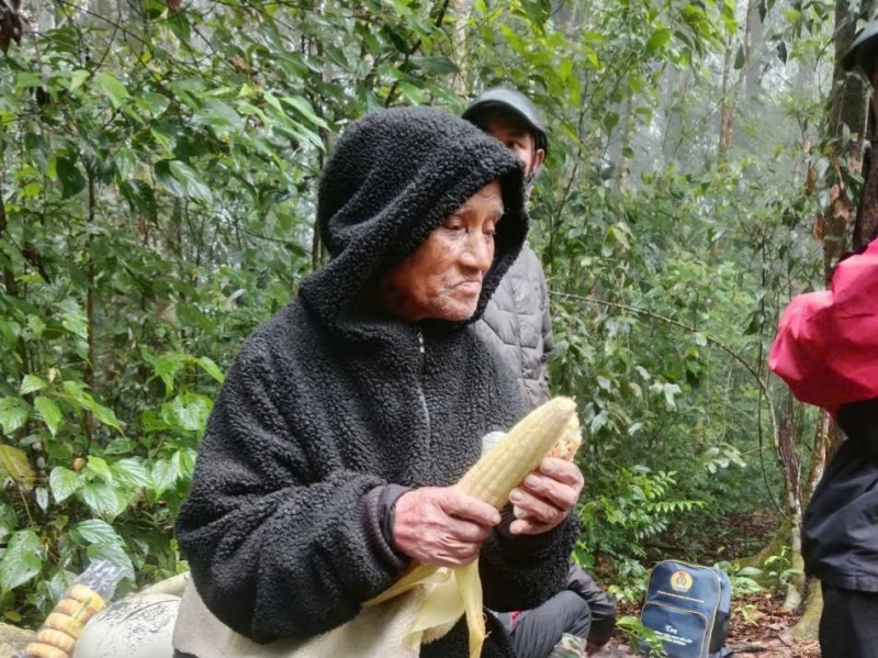 Cụ ông 78 tuổi tiết lộ “bí kiếp” sống sót kỳ diệu 6 ngày lạc trong rừng mưa -0